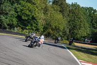 Advanced 1 Group White Bikes